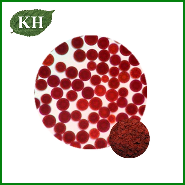 Astaxanthin Powder And Oil Astaxanthin Powder And Oil